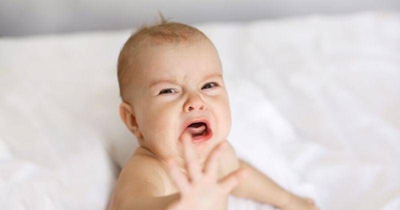 Freepik/cookie_studio