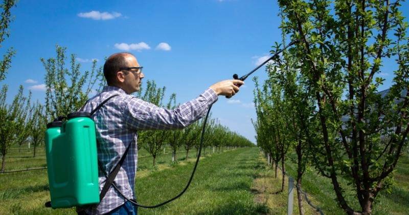 Freepik/aleksandarlittlewolf