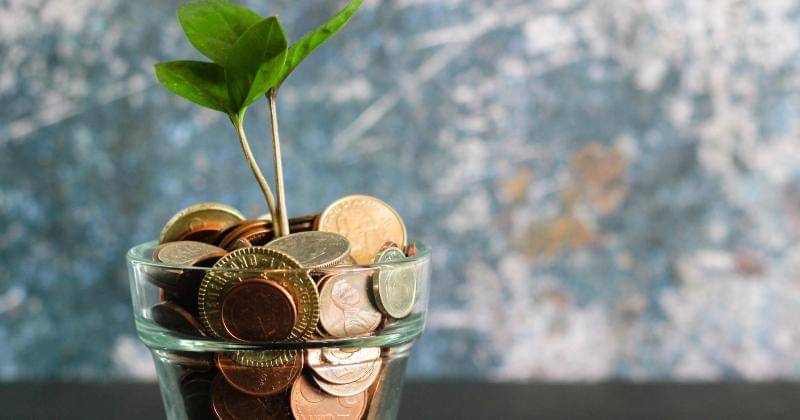 Unsplash/Micheile Henderson