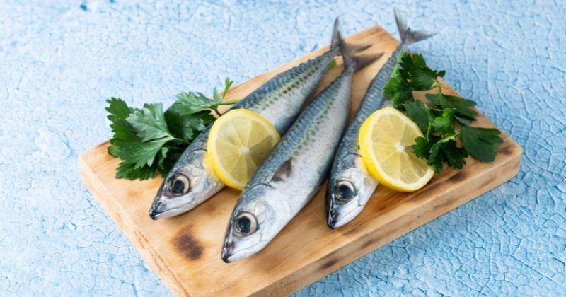 Freepik/chandlervid85