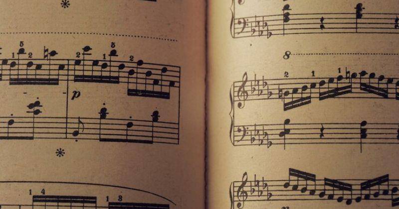 Freepik/Racool_studio