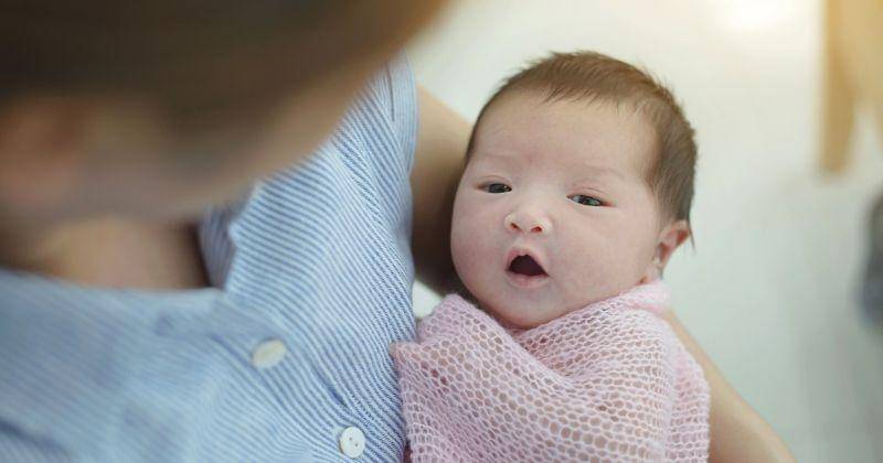 Freepik/studioredcup