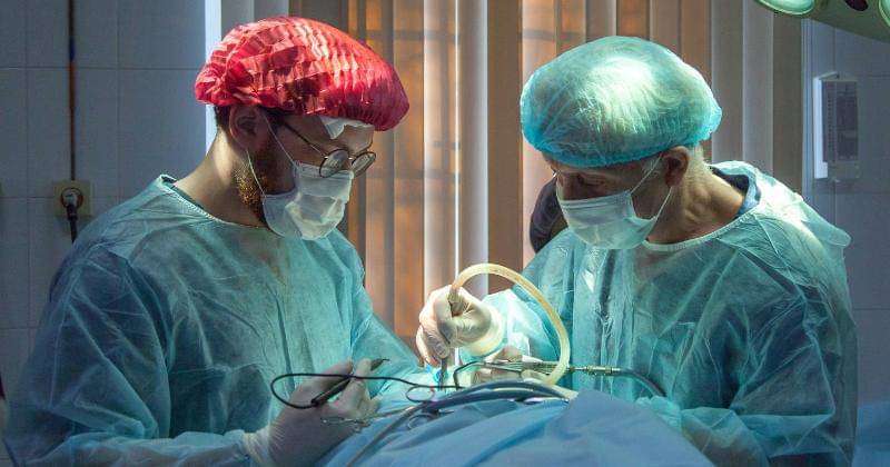 Unsplash/Olga Guryanova