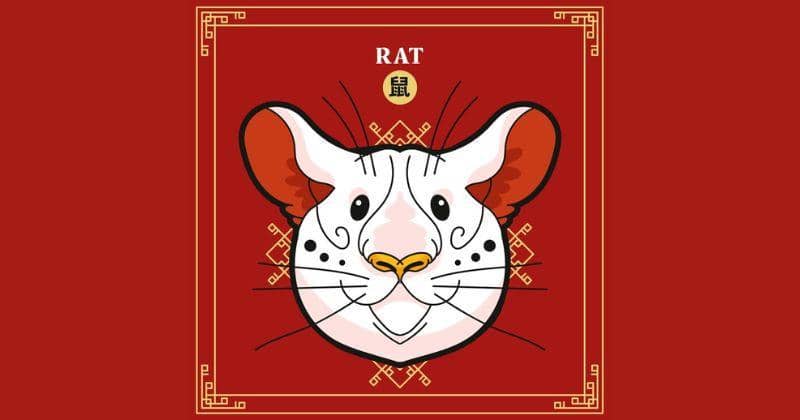 Prediksi Keuangan Shio Tikus di Tahun 2024, Penuh Keberuntungan!