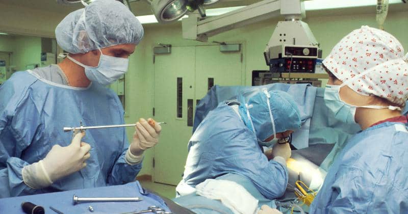 Unsplash/National Cancer Institute