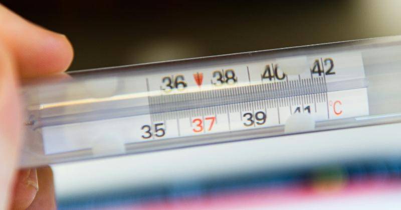 Unsplash/Matteo Fusco