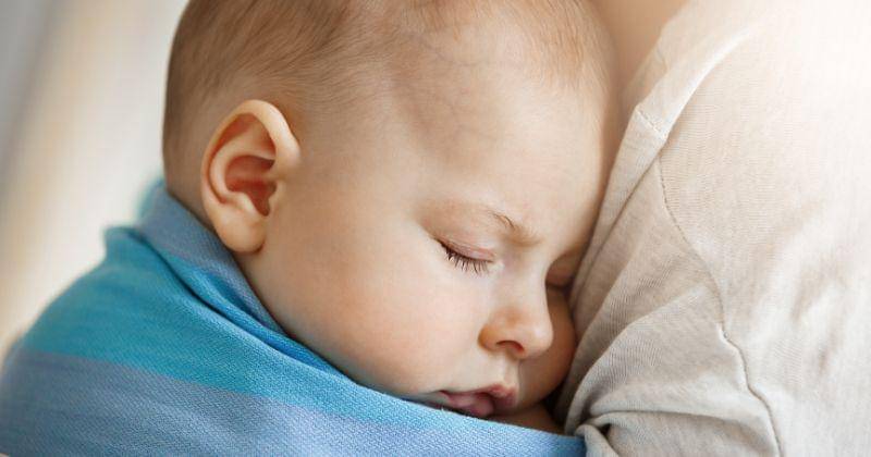 Freepik/cookie_studio