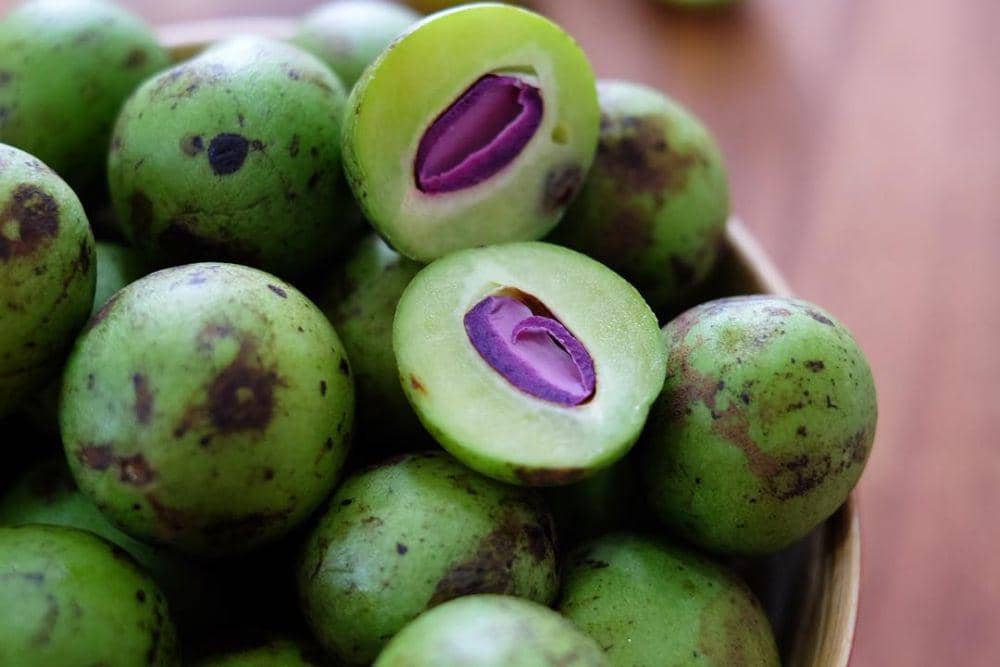 Mengenal Gandaria, Buah Asli Indonesia yang Hampir Punah