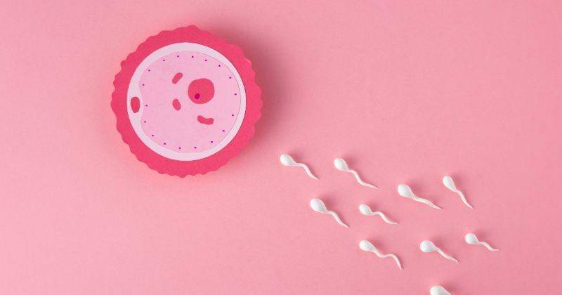 Kapan Bercak Darah Tanda Hamil Muncul? Ini Faktanya | Popmama.com