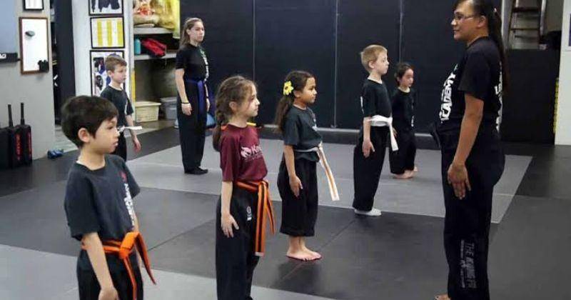 lvshaolin.com