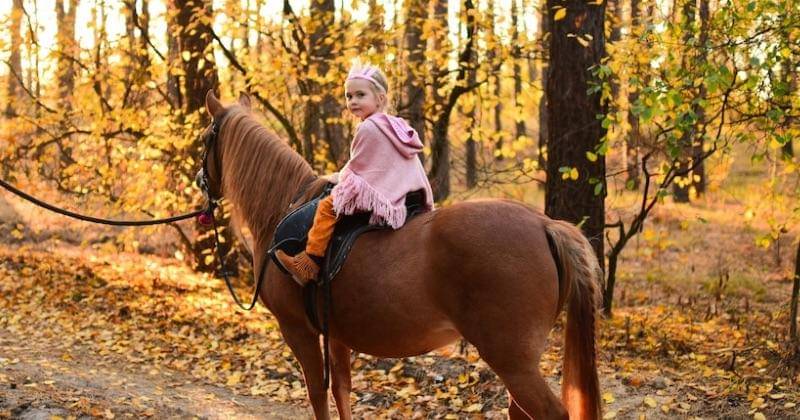 Freepik/freepic.diller