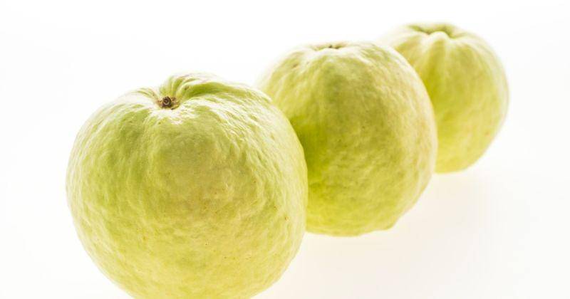 Freepik/lifeforstock