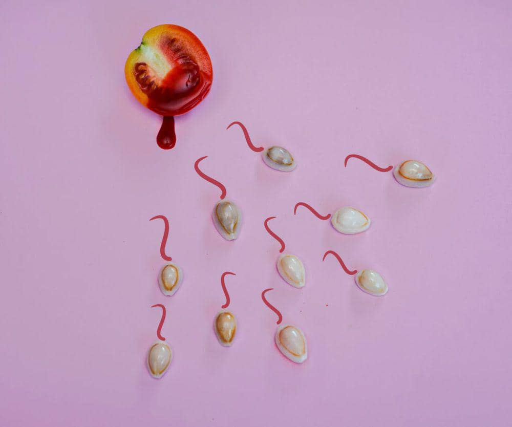 Kualitas ovum
