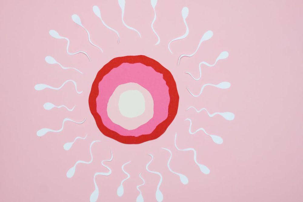 Jumlah ovum pada perempuan berusia 30-an
