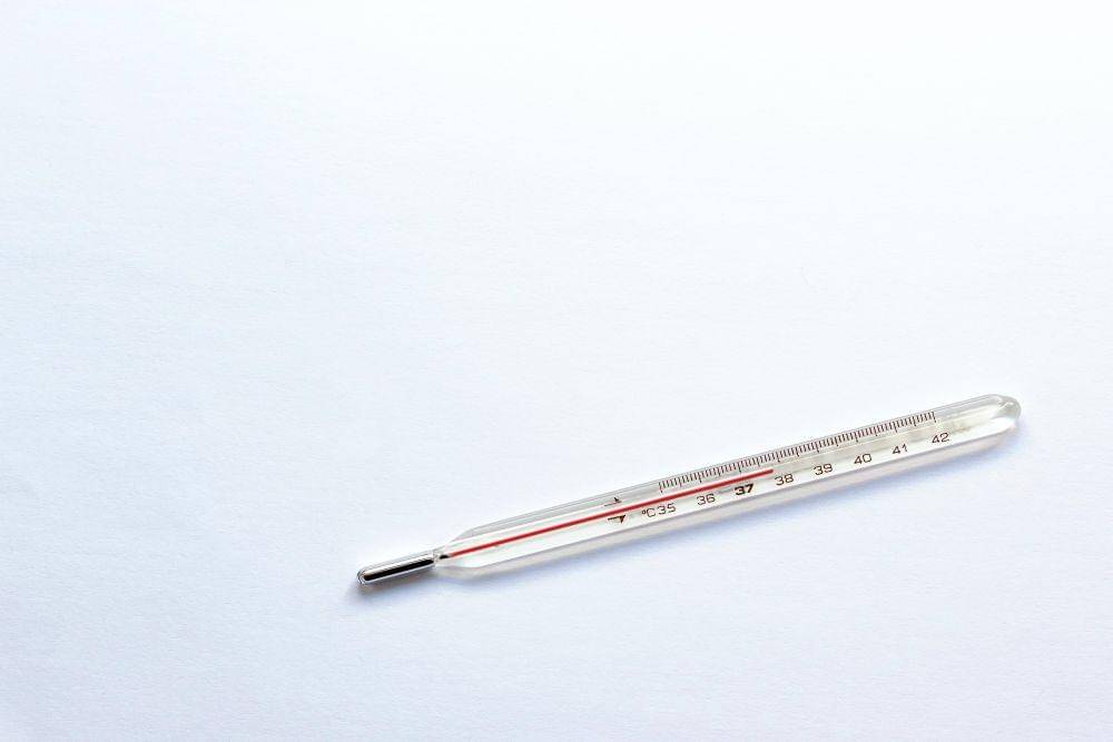 Pexels/Zakhar Vozhdaienko