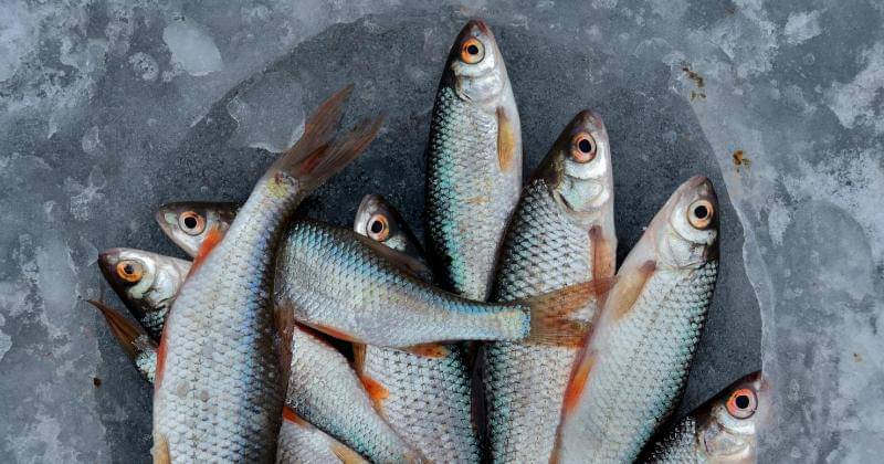 Pexels/Alexander Zvir