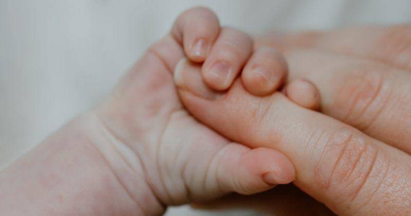 Pexels/Laurissa Booyse