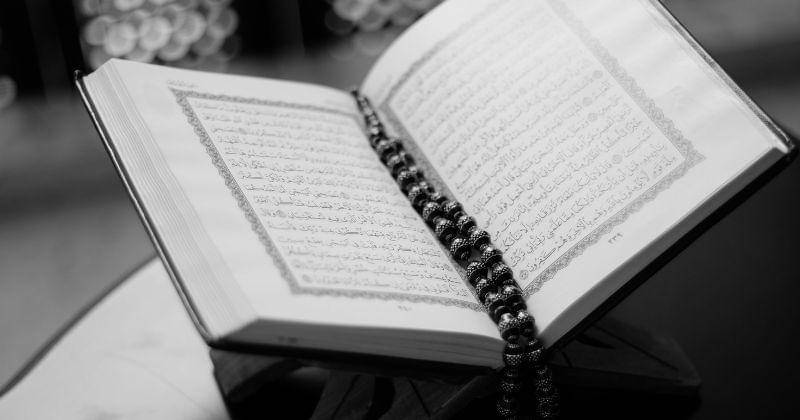 Pexels/Abdulmeilk Aldawsari