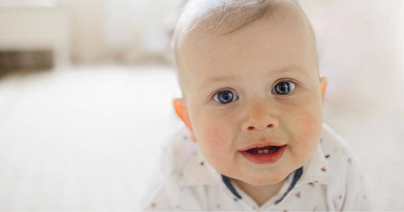 freepik/freepic.diller