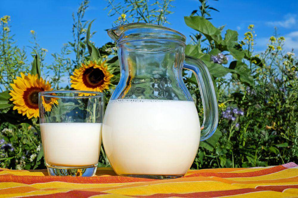 ilustrasi susu kedelai (pixabay.com/Couleur)