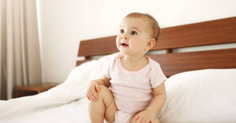 Freepik/cookie_studio