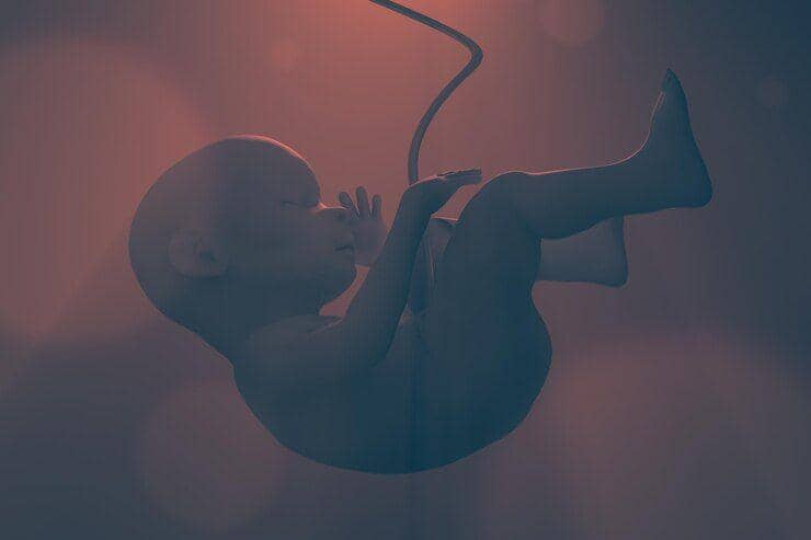 Apakah bayi bisa menangis saat masih di dalam kandungan?