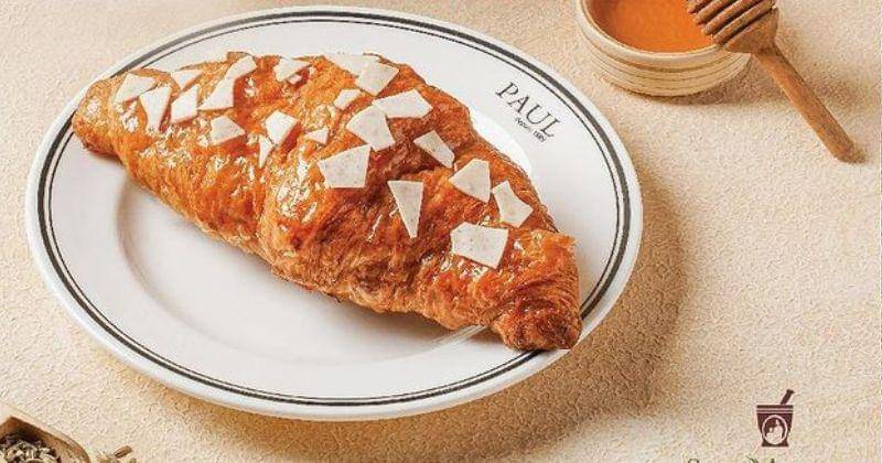 Instagram.com/paulindonesiaofficial