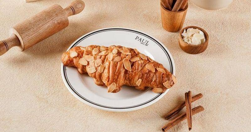 Instagram.com/paulindonesiaofficial