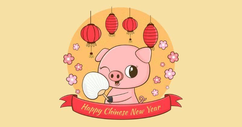 Warna Keberuntungan Shio Babi di Tahun 2024