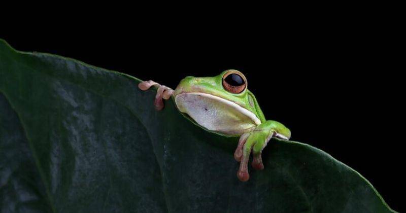 Freepik/kuritafsheen77