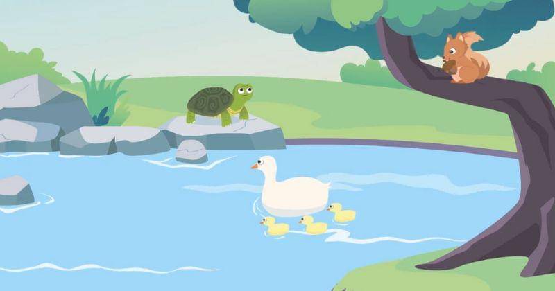 Youtube.com/Studycle Kids