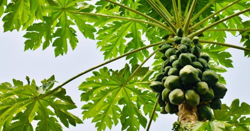 Pexels/BLAXTAR ESSENTIALS