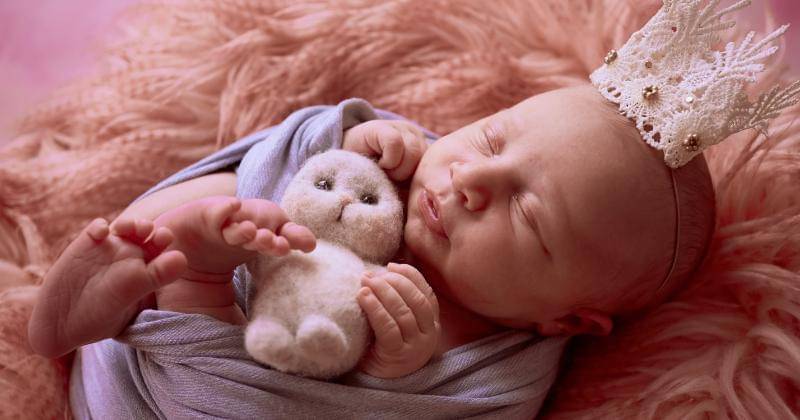 freepik/freepic.diller