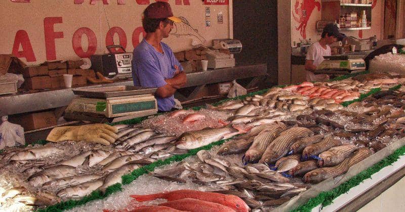 Cara Memilih Ikan Segar untuk MPASI