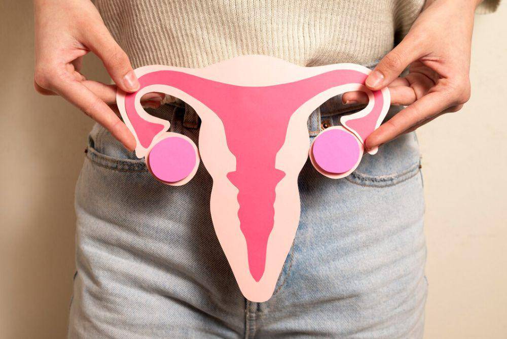 ilustrasi dindin vagina wanita (freepik.com/freepik)