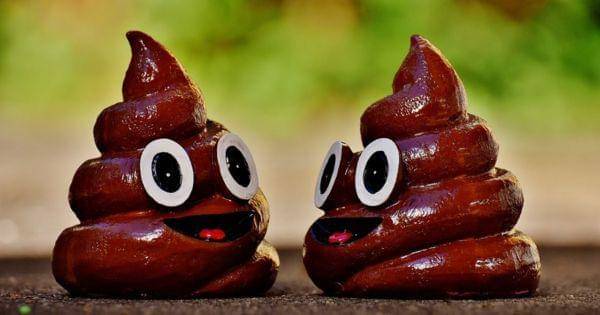 ilustrasi tinja atau feses (pixabay.com/Alexas_fotos)