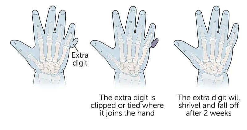 childrenshospital.org