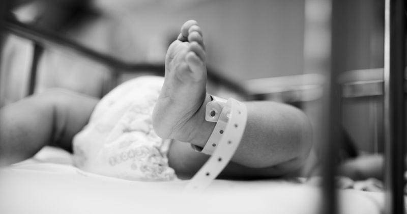 Ilustrasi - Freepik/rawpixel.com