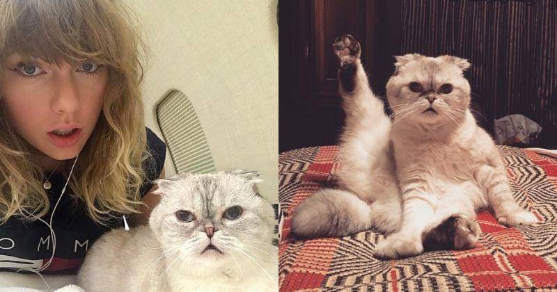 Instagram.com/taylorswift