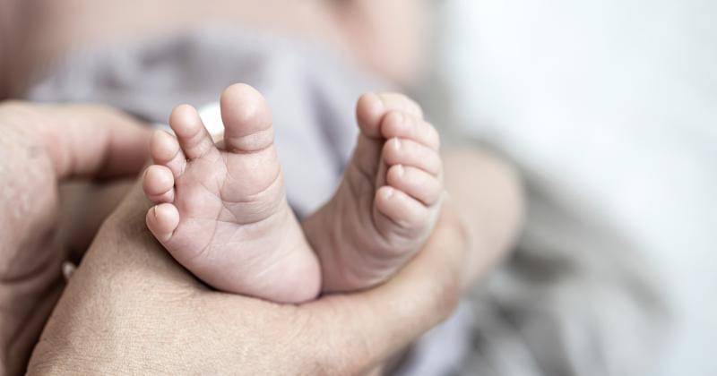 freepik/pvproductions