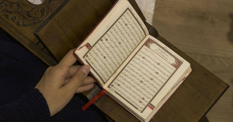 Pexels/ZehraNurPeltek