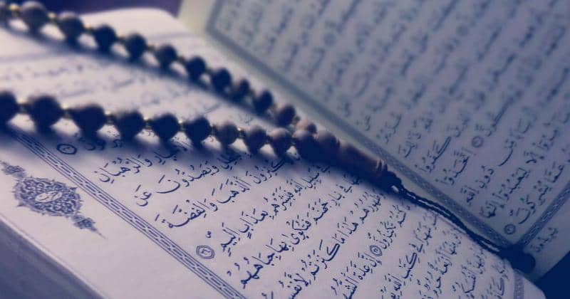 Pexels/TayebMezahdia