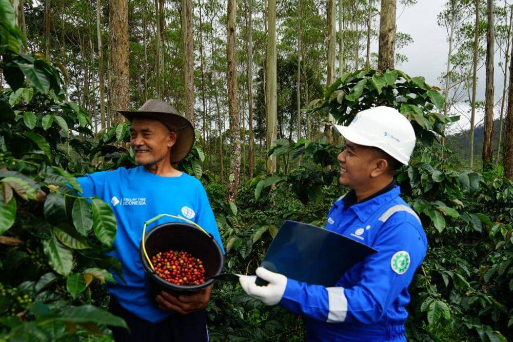 Indonesia Naik Peringkat ke-3 Negara Penghasil Kopi Terbanyak Dunia
