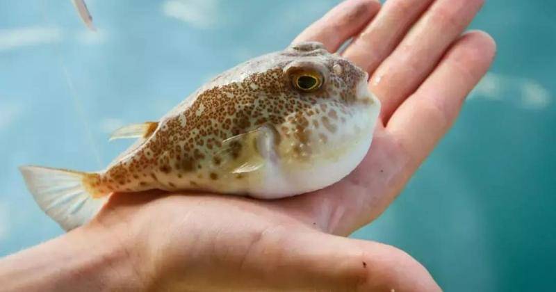 hurriyetdailynews.com