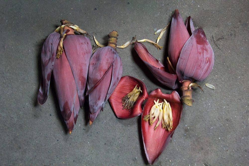 ilustrasi jantung pisang (pixabay.com/kengkreingkrai)