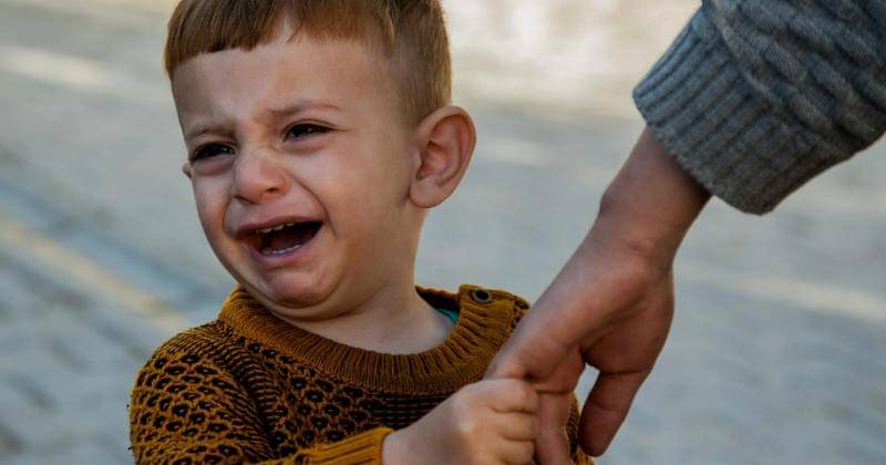 Pexels/ArzellaBEKTAŞ