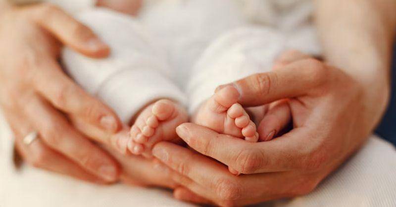 Freepik.com/prostooleh