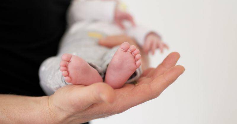 Freepik.com/wirestock