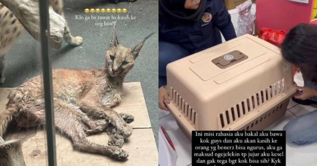 Instagram.com/rachelvennya