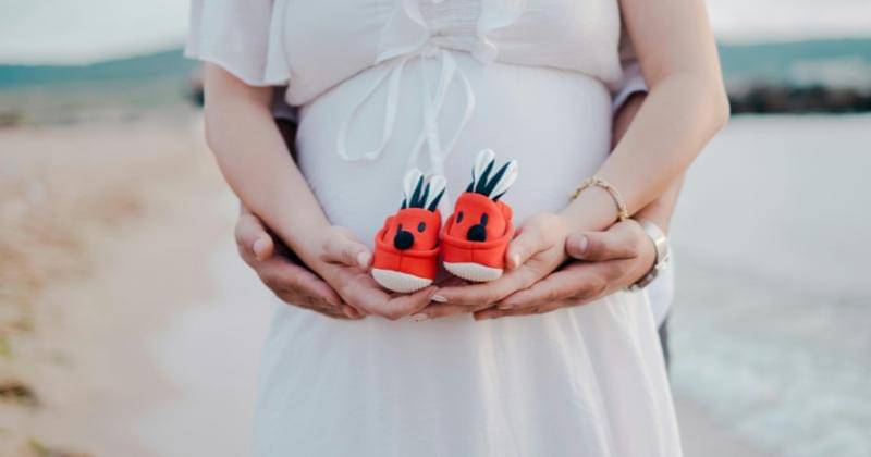 Pexels/Birkaybolushikayesi